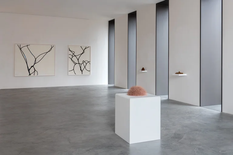 Blick in die Ausstellung »Kosmos und Kontext« | Christiane Löhr © für die Werke VG Bild-Kunst, Bonn 2024
